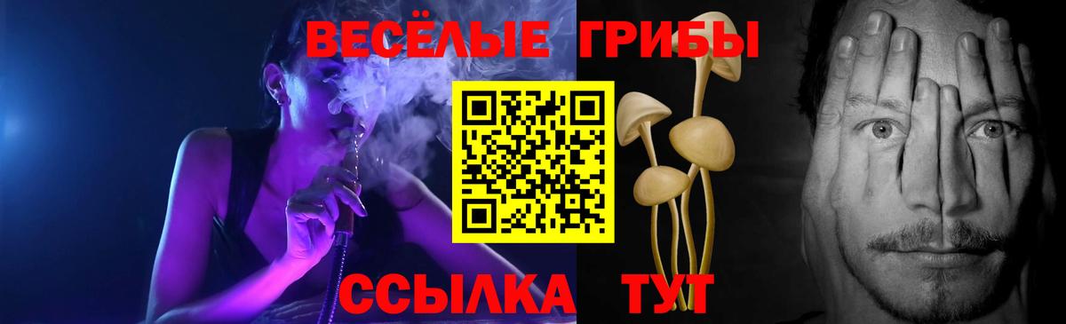 Псилоцибиновые грибы Cubensis  Псилоцибиновые грибы мицелий  Вход с VPN  Чернушка 