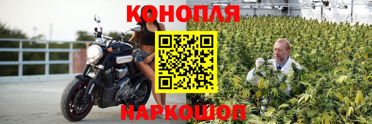 Чернушка  Каннабис OG Kush  Бошки марихуана White Widow  Бошки марихуана марихуана  Вход с VPN 